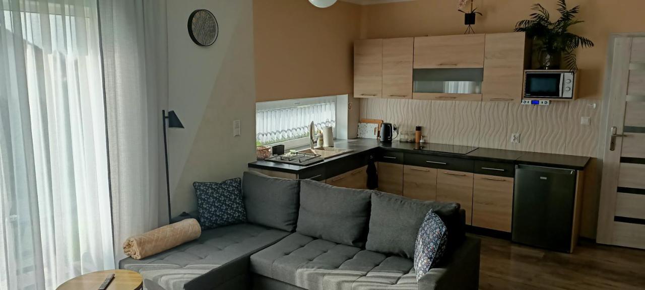 Apartamenty Modrzewiowe Tarasy Chojnice Bagian luar foto